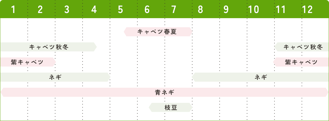 収穫時期