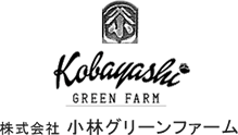 小林日記 | 「株式会社小林グリーンファーム」群馬県伊勢崎市のBtoBの卸し特化の農園です